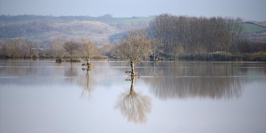 Ergene Nehri'nin debisi normale döndü