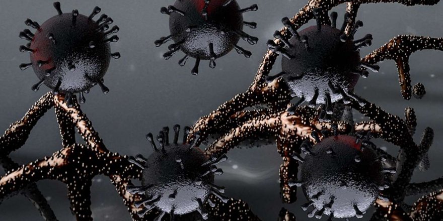 Riskli mutasyonlar sınır tanımadan yayılıyor