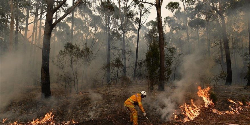 Batı Avustralya'daki orman yangınları kontrol altına alınamadı