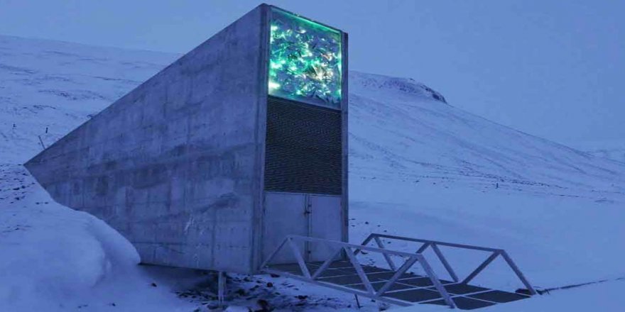 Dünyanın en büyük tohum ambarı: Svalbard Tohum Deposu