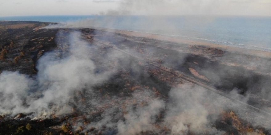 Yangında büyük zarar gören 'Kuş Cenneti'nde büyük risk