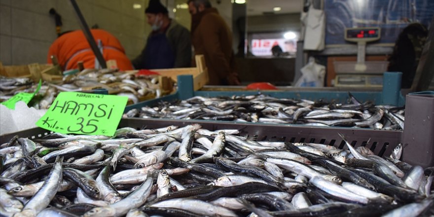 Kar ve fırtına Düzce'de hamsi fiyatını artırdı
