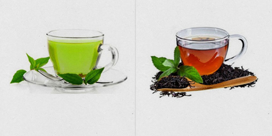 Siyah, yeşil ve beyaz çay arasındaki farklar