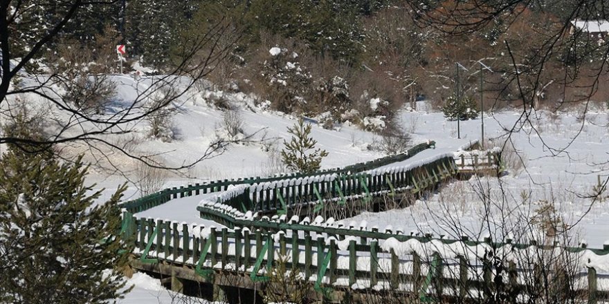 Abant Tabiat Parkı Kovid-19 kısıtlamalarında en sakin günlerini yaşıyor