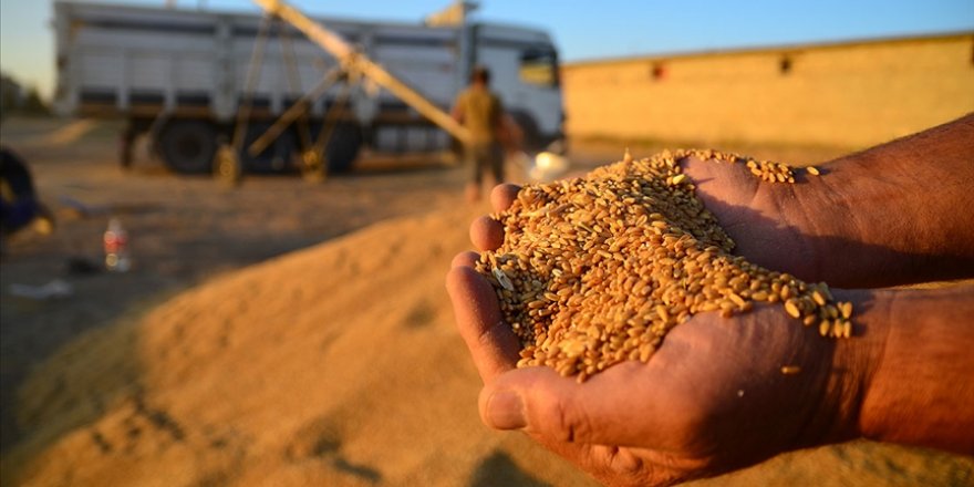 İklim değişikliği tarım sektöründe verimi etkileyecek