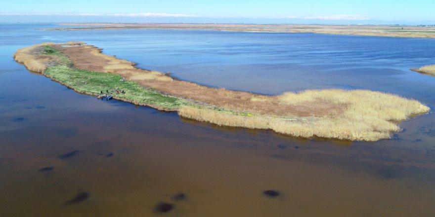 Adana'nın gizli cenneti: "Nergis Adası"