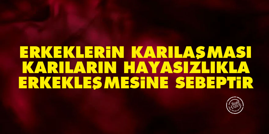 Bediüzzaman: Erkeklerin karılaşması, karıların hayasızlıkla erkekleşmesine sebeptir
