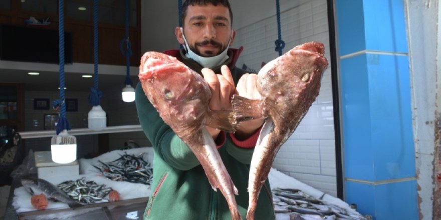Görenleri hem korkuttu hem şaşırttı