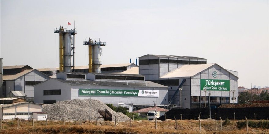 Ankara Şeker Fabrikası bu sezon 77 bin 500 tonluk şeker üretimiyle rekor kırdı