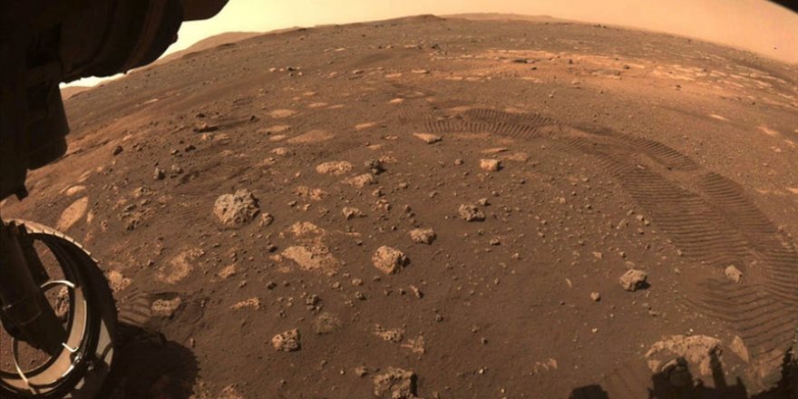 NASA, Mars'a yaşamı yanlışlıkla taşımış olabilir