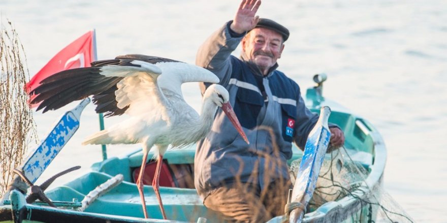 Vefalı Yaren Leylek, 10 yıldır Adem amcayla buluşuyor