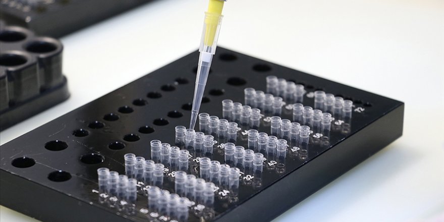 DNA incelenmesinde kullanılan belirteç Van'da geliştirildi