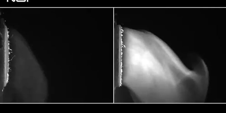 Pamuk maskeler Kovid-19'a karşı daha güvenli