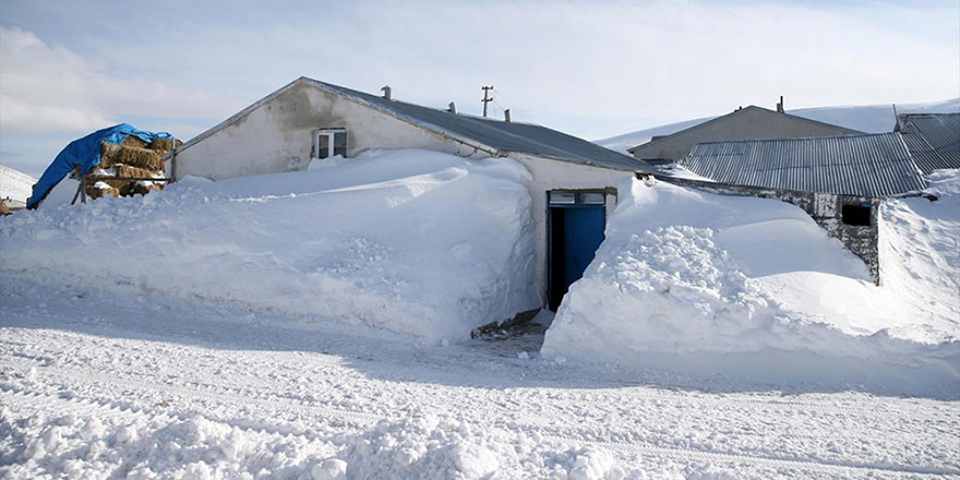 Bu yılın ocak ayı çok daha soğuk geçti