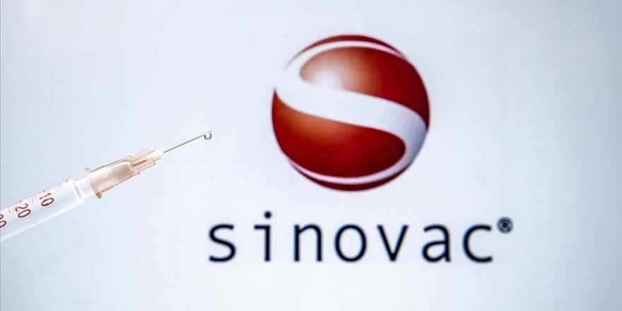 CBÜ'den 'Sinovac' araştırması; antikorda 3 ay sonra düşüş
