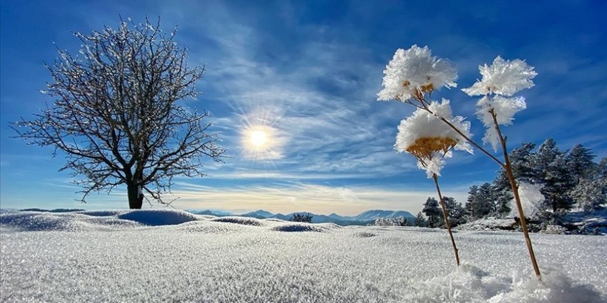 Dört il için buzlanma ve don uyarısı yapıldı