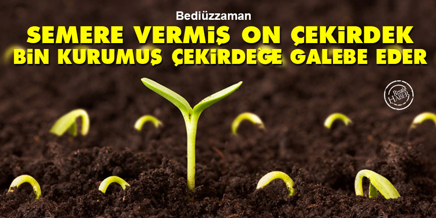 Bediüzzaman: Semere vermiş on çekirdek, bin kurumuş çekirdeğe galebe eder