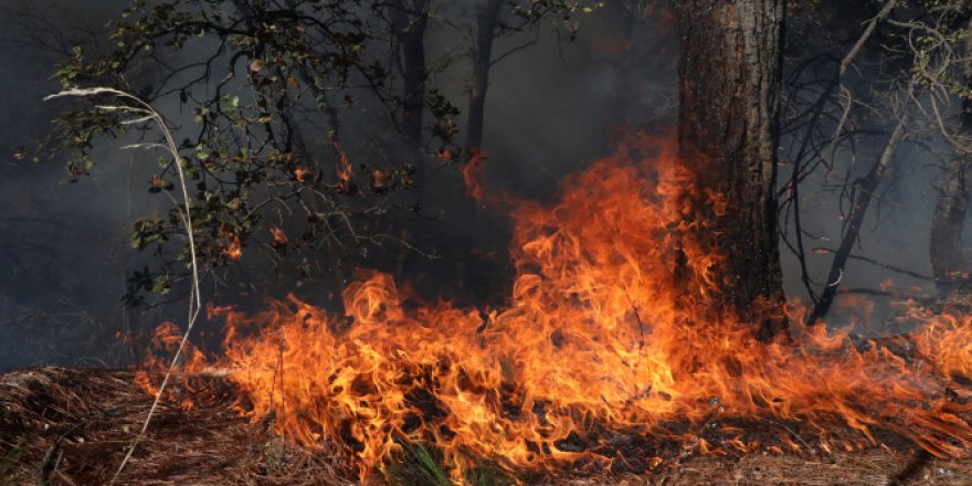 OGM, yangın önleyici tesisler ve emniyet yollarıyla alevlere 'dur' diyecek