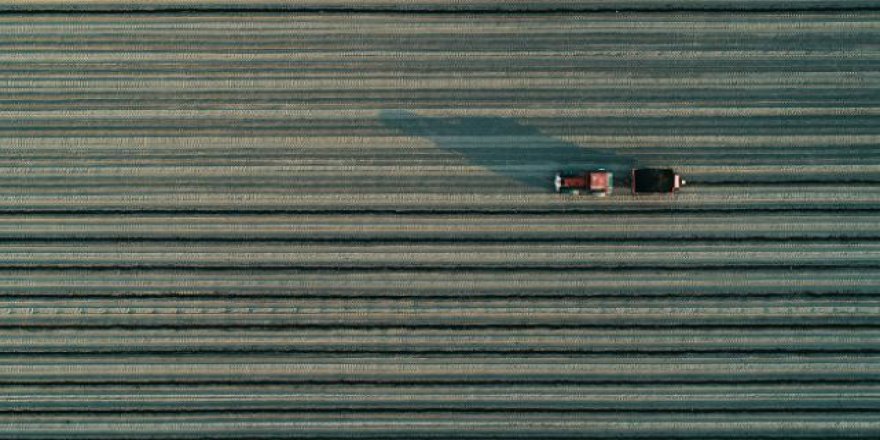 Dünya kuraklık ve salgın sebebiyle gıda stoklarını artırıyor