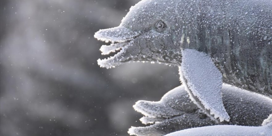 Dört il için buzlanma ve don uyarısı