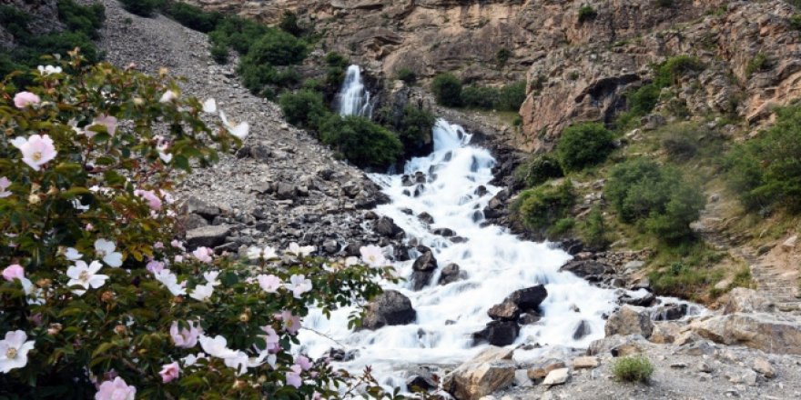 Kanispi Şelalesi koruma altına alındı