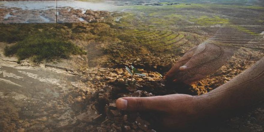 Toprağın sinsi düşmanı: Erozyon