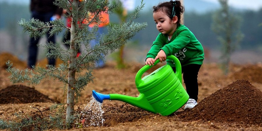 İklim değişikliğiyle mücadele için ağaç dikmek iyi bir çare