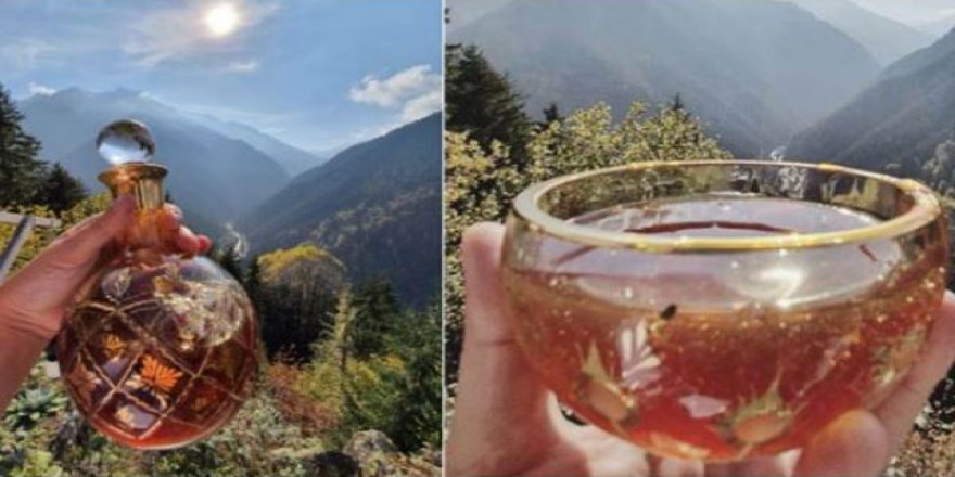 Türkiye'de mağarada toplanan kantaron balı Guinness Rekorlar Kitabı'na girdi