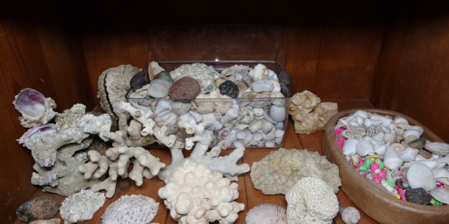 Denizin bulunmadığı Mardin'de, deniz canlılarının binlerce yıllık fosilleri sergileniyor