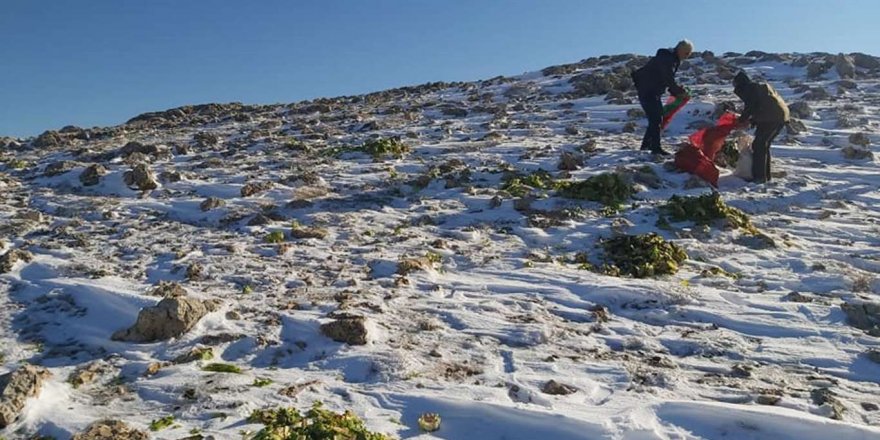 Yoğun kar yağışı nedeniyle aç kalan hayvanlar için yem bırakıldı