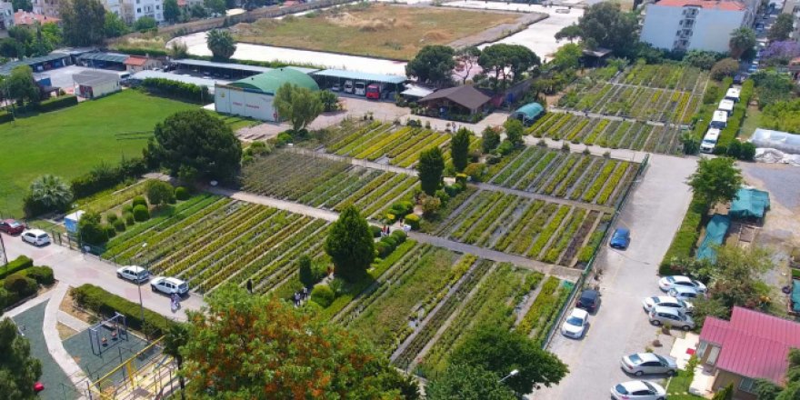 Şehrin kalbindeki 97 yıllık oksijen deposu
