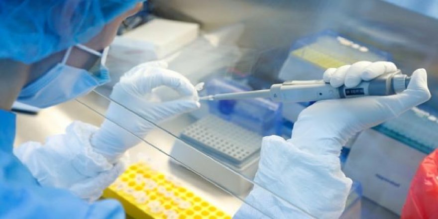 Türkiye'nin inovatif aşı adayı Faz-2 aşamasında