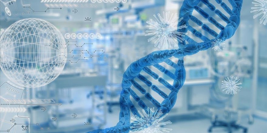 Araştırmaya göre Kovid-19'a karşı geliştirilen bağışıklık hücreleri varyantlarına karşı da etkili oluyor