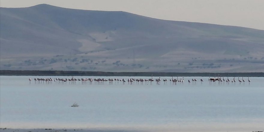 Çevre ve Şehircilik Bakanlığınca korunan alan sayısı 3 bin 534'e yükseldi