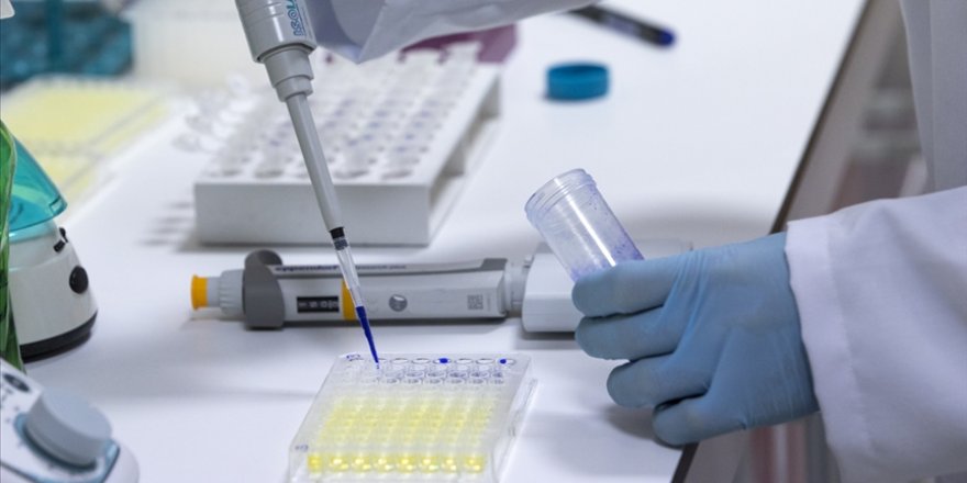 İTÜ'den müsilaja neden olan evsel ve endüstriyel atıkları yüzde 99 arıtan teknoloji