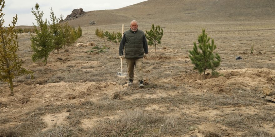 66 yaşındaki Erdoğan amca 7 yılda 10 bin fidan dikti