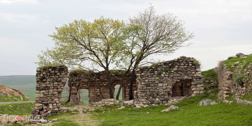 ​Tarihi Feqiyê Teyran Medresesi yok oluyor