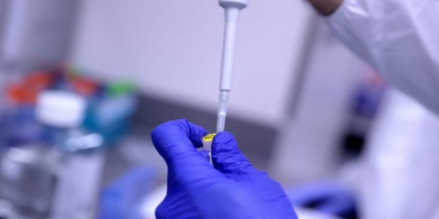 TÜBA Akademi Ödülleri'ne başvurular başladı