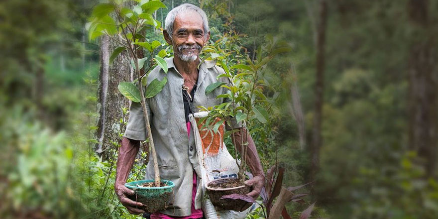 70 yaşında tek başına 11 bin ağaç dikti