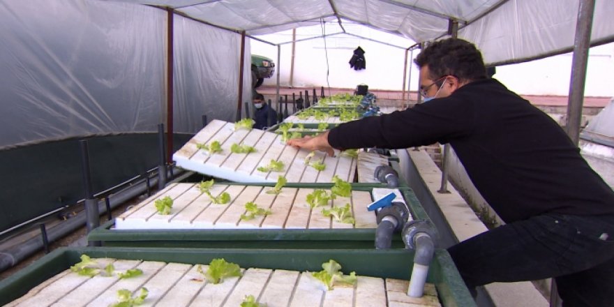 Antalya'da balıkların yetiştirildiği suda sebze üretiliyor