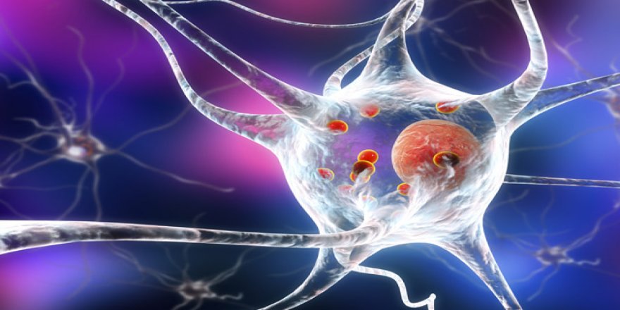 Kol ağrısı diye gitti, kanser çıktı