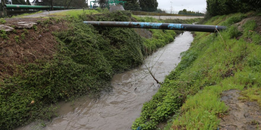 Fabrikaların arasından geçen dere simsiyah aktı