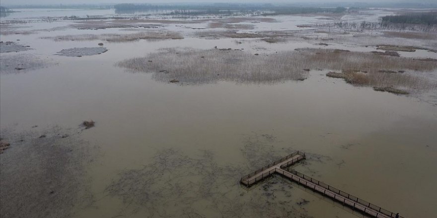 'Efteni Kuş Cenneti'nin güzelliği drone ile görüntülendi