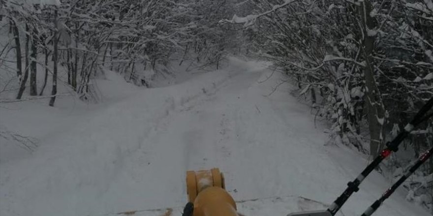 Kastamonu'da kar nedeniyle 92 köy yolunda ulaşım sağlanamıyor