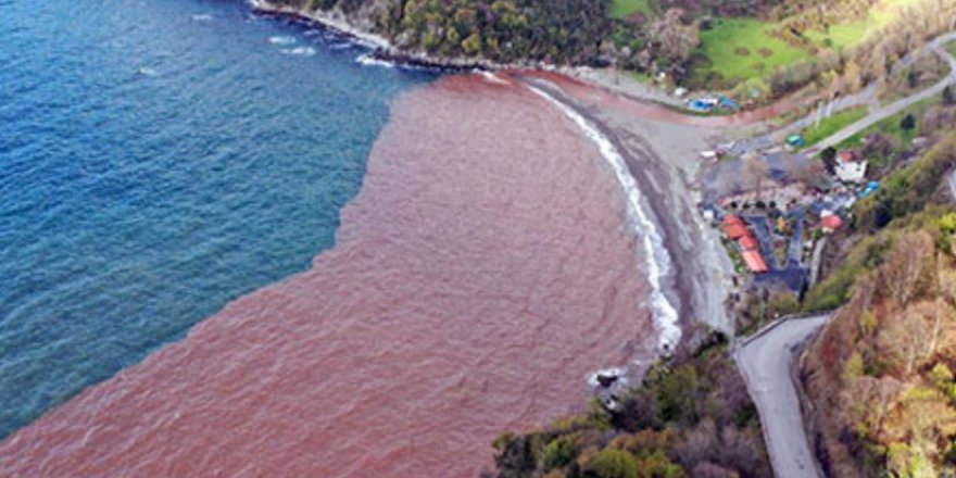Zonguldak'ta denizin rengi çamura döndü