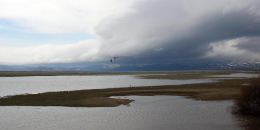 Kura Nehri eriyen kar ve sağanak nedeniyle taştı