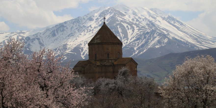 Badem ağaçlarının çiçekleri ile renklenen Akdamar Adası'na ziyaretçi akını
