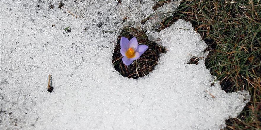 Bolu'da iki mevsim bir arada yaşanıyor