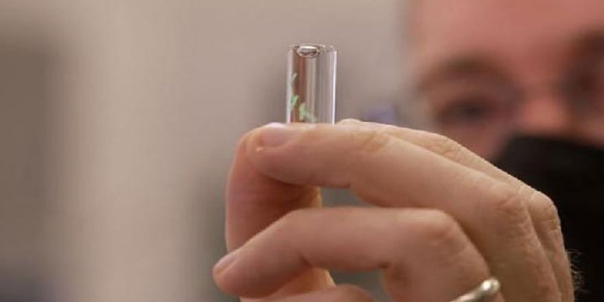 Bilim insanları, insan vücuduna enjekte edilebilen dünyanın en küçük çipini geliştirdi