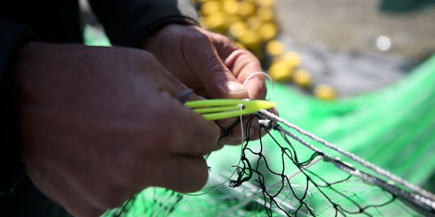 Türkiye genelinde bazı balık türlerine av yasağı geliyor!